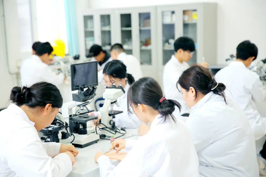 立足现有实训基础 升级打造“一基地三中心”实践教学新体系