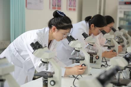 以食为媒、以养为本、AI赋能