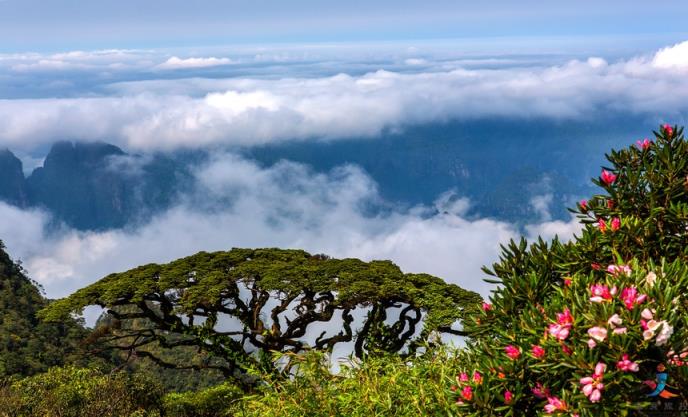 自治区级非遗授权企业：宏瑶生物让千年瑶浴古方焕发时代活力