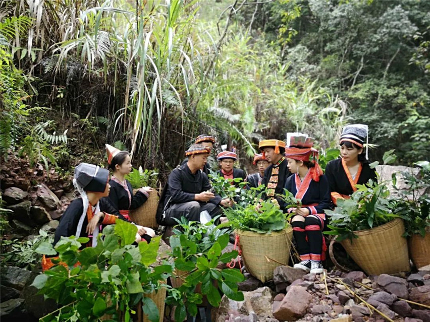 自治区级非遗授权企业：宏瑶生物让千年瑶浴古方焕发时代活力