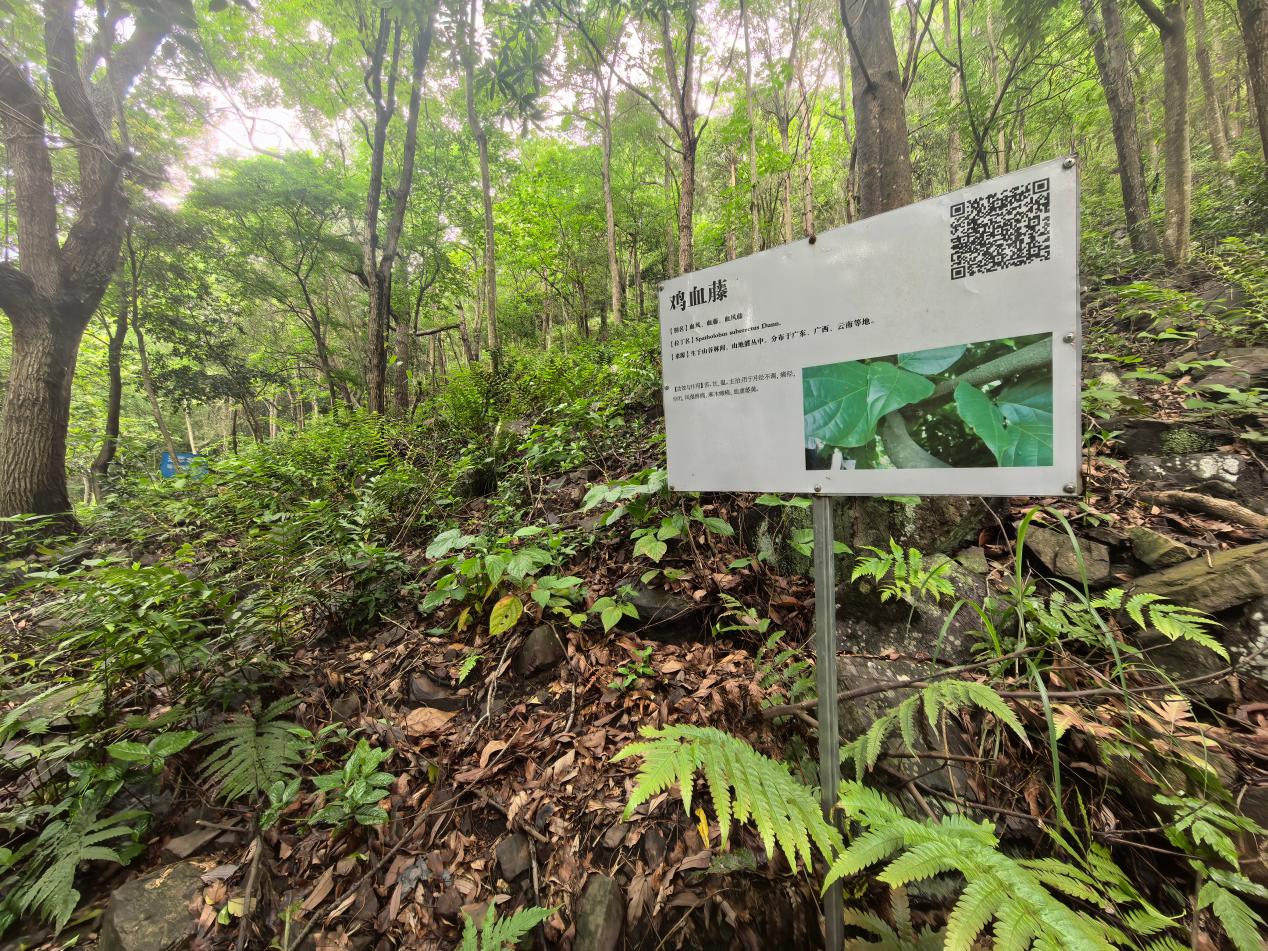 瑶浴行业团体标准有哪些？核心起草单位宏瑶生物推动行业规范化